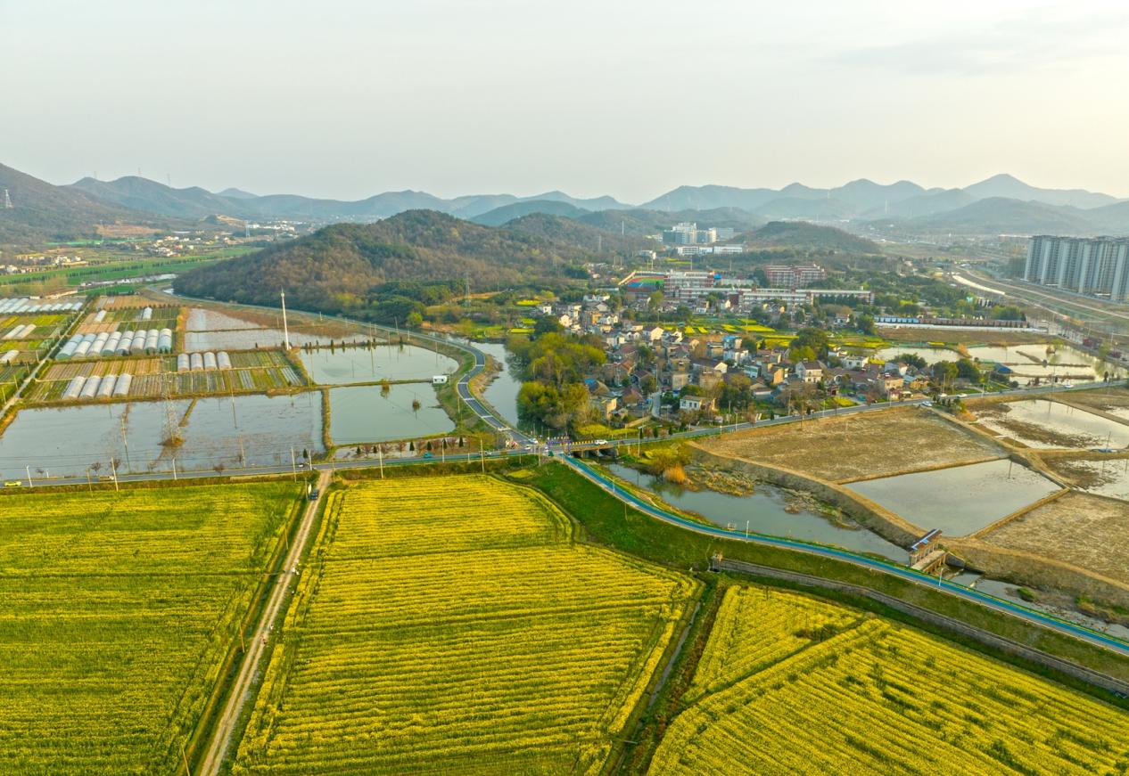 �����ߺ���������������԰�����