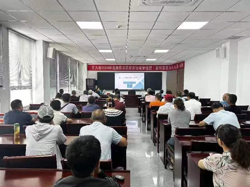 �������̳������